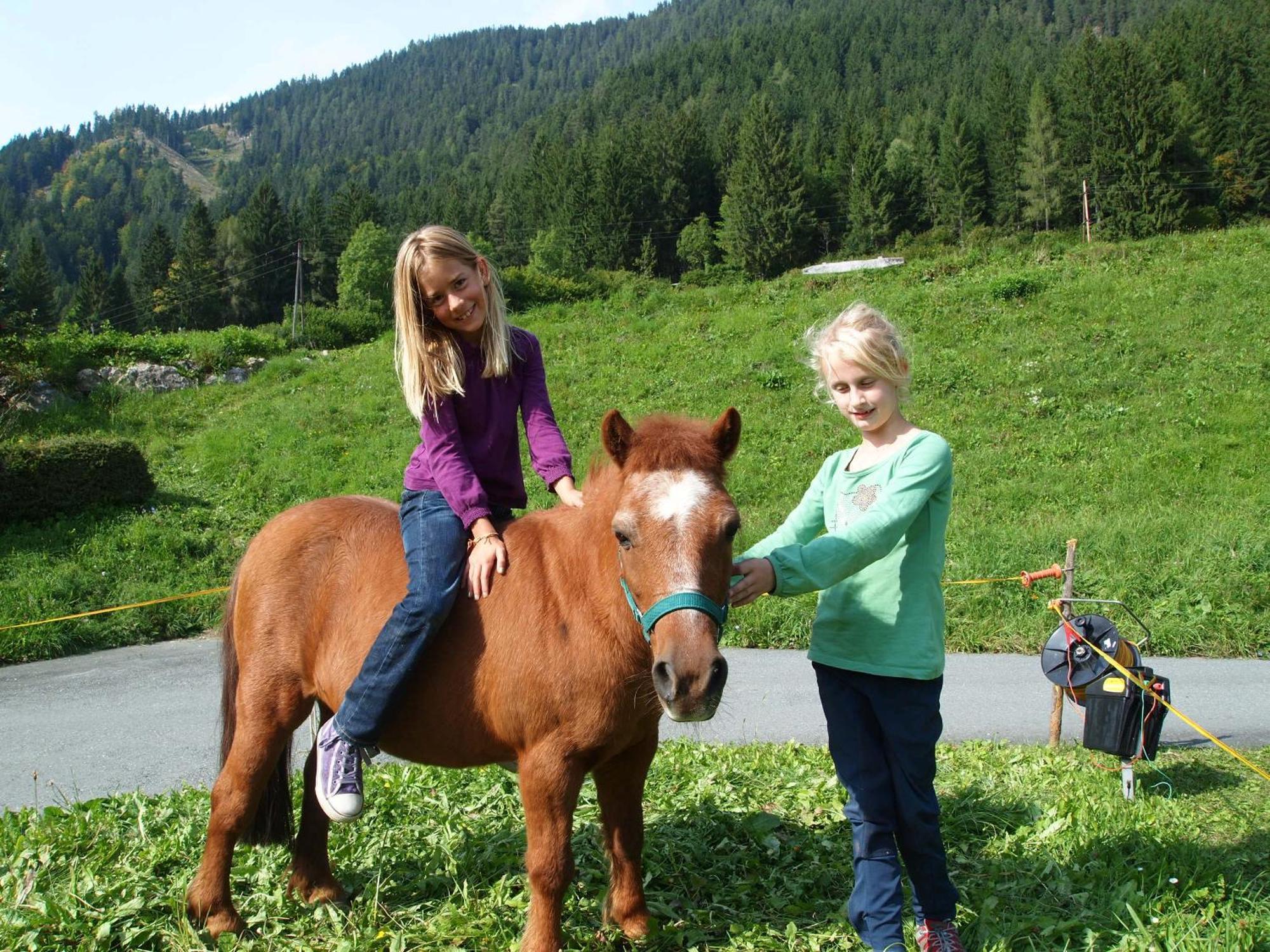 Ferienhof Obergasser Und Bergblick Weissensee Exteriör bild